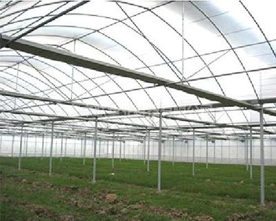 中聯塑料蔬菜大棚膜 價格與應用解析
