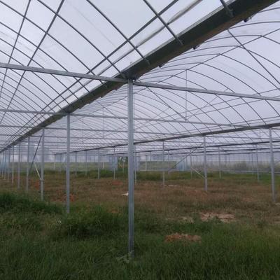 齊帝薄膜連棟大棚 現代農業(yè)科技下的有機果蔬種植典范