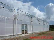 走進壽光富華連棟薄膜溫室 科技農業(yè)的綠色畫卷