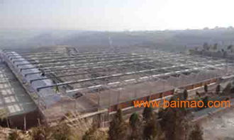 甘肅溫室大棚設計新趨勢 黃河金屬制品引領行業(yè)變革
