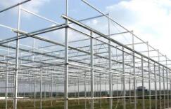 昆明花卉育苗溫室價(jià)位深耕市場 大棚薄膜的成本考量與技術(shù)選型