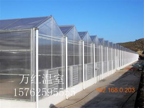 溫室大棚選購指南 薄膜、玻璃與生態(tài)玻璃溫室的對(duì)比與推薦